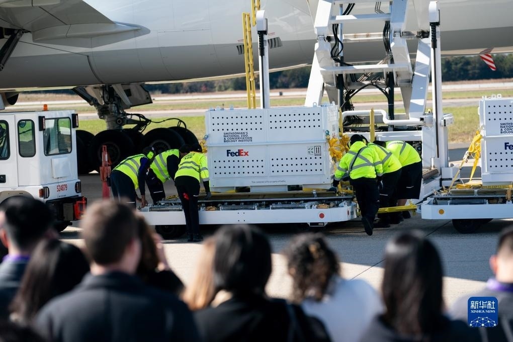 11月8日，在美國弗吉尼亞州的華盛頓杜勒斯國際機場，裝有大熊貓的特制“旅行包廂”準備運上專機。新華社記者劉杰攝