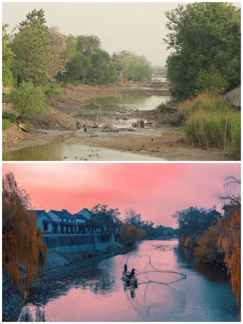 江蘇省揚州市江都區(qū)明清運河故道整治前后。（上圖：2012年；下圖：2020年）（孫友定 攝）