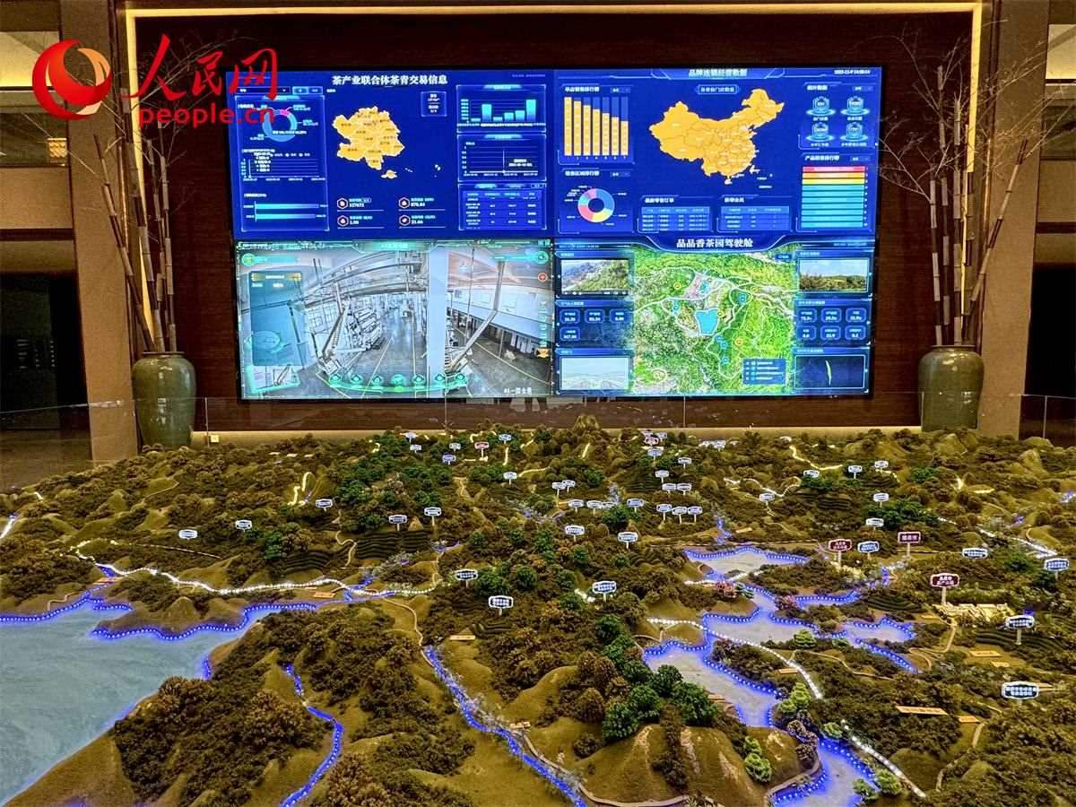 品品香白茶產(chǎn)業(yè)園信息中心數(shù)智化大屏。人民網(wǎng)記者 劉微攝