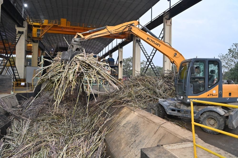 12月14日，在廣西來(lái)賓東糖鳳凰有限公司，員工操作機(jī)械將甘蔗投入傳送帶，準(zhǔn)備送往壓榨車(chē)間。