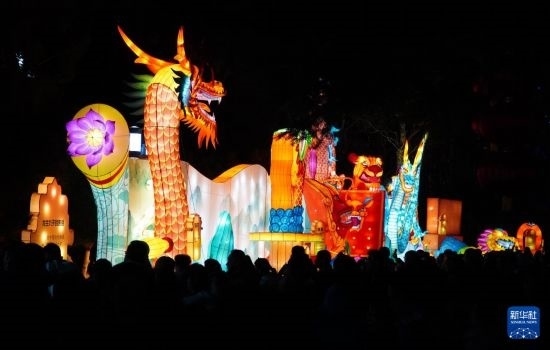 2月11日晚，人們在濟(jì)南市趵突泉公園觀賞花燈。