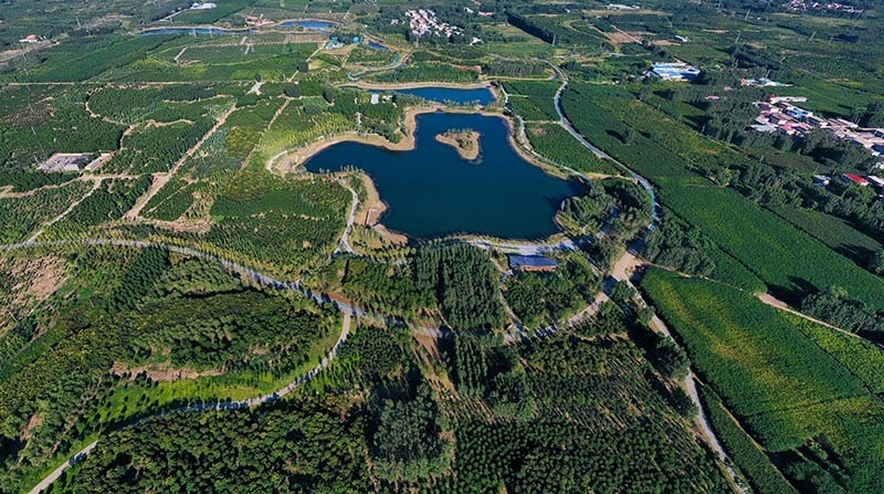 這是2022年9月6日拍攝的雄安新區(qū)“千年秀林”。