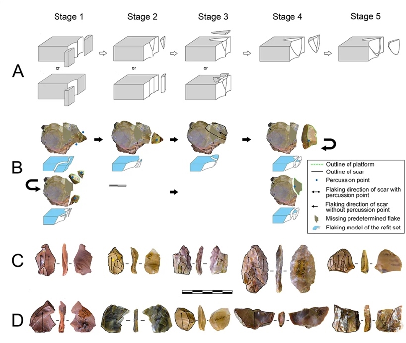 岑家灣遺址“準(zhǔn)備石核技術(shù)”及相關(guān)石制品。（受訪單位供圖）