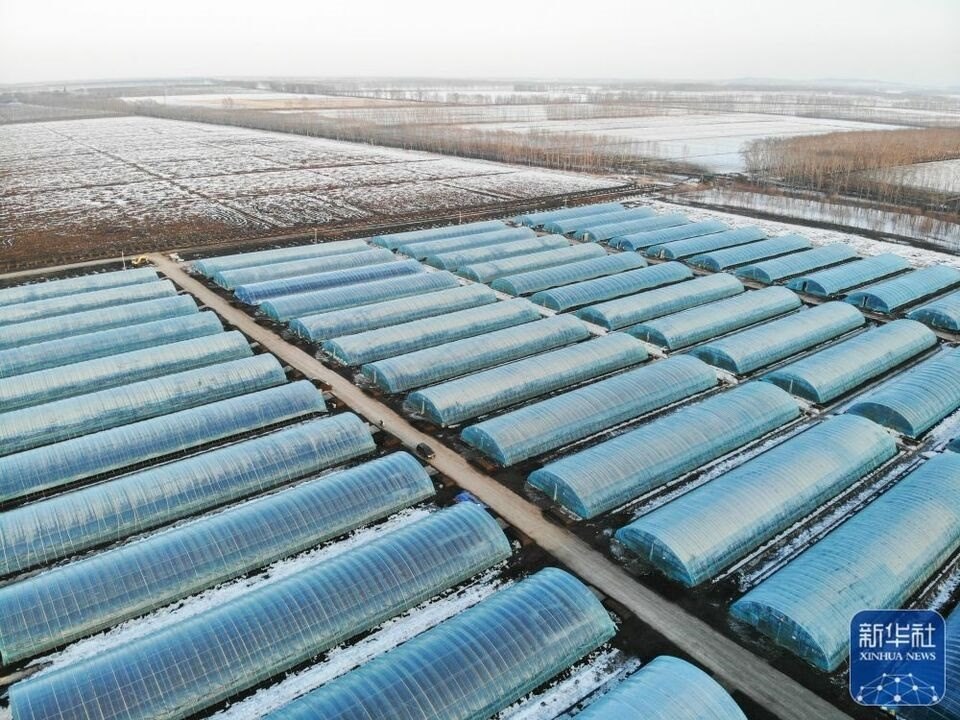 新華全媒+|“大糧倉(cāng)”黑龍江春耕備耕火熱進(jìn)行