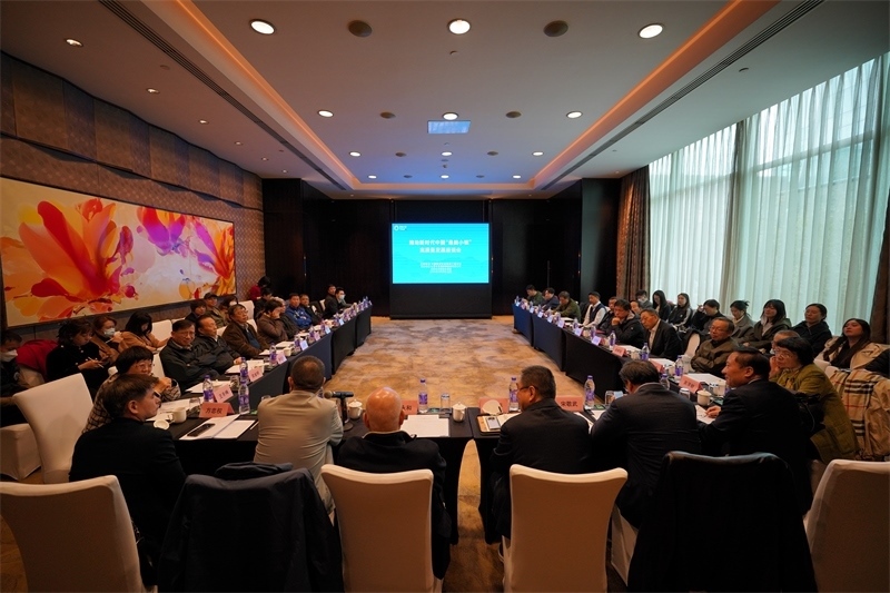 座談會(huì)現(xiàn)場(chǎng)。主辦方供圖