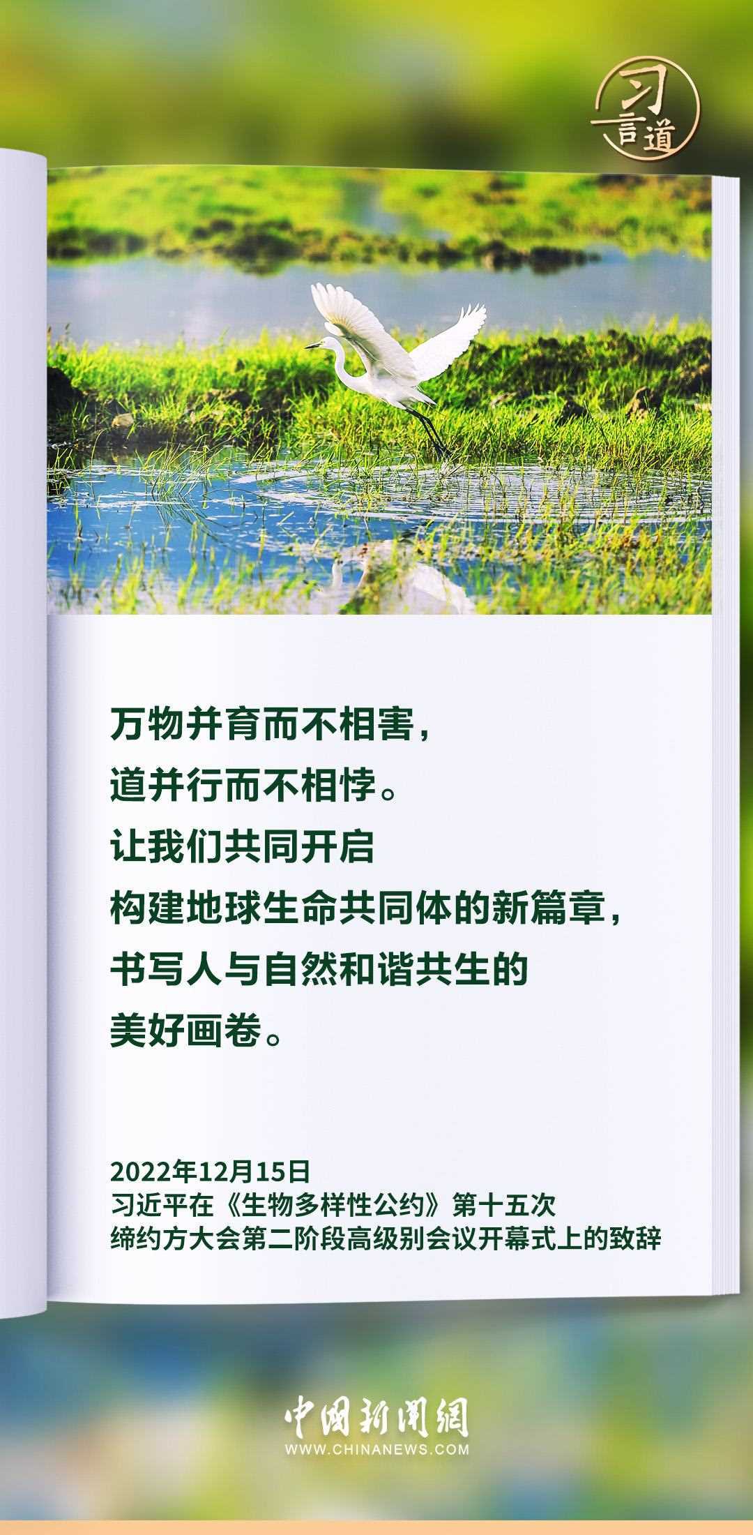 【和諧共生】習言道|生態(tài)興則文明興