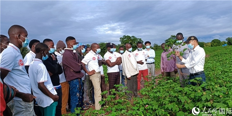 項(xiàng)目組長(zhǎng)首小勇向當(dāng)?shù)孛揶r(nóng)做技術(shù)講解。人民網(wǎng)記者 黃培昭攝