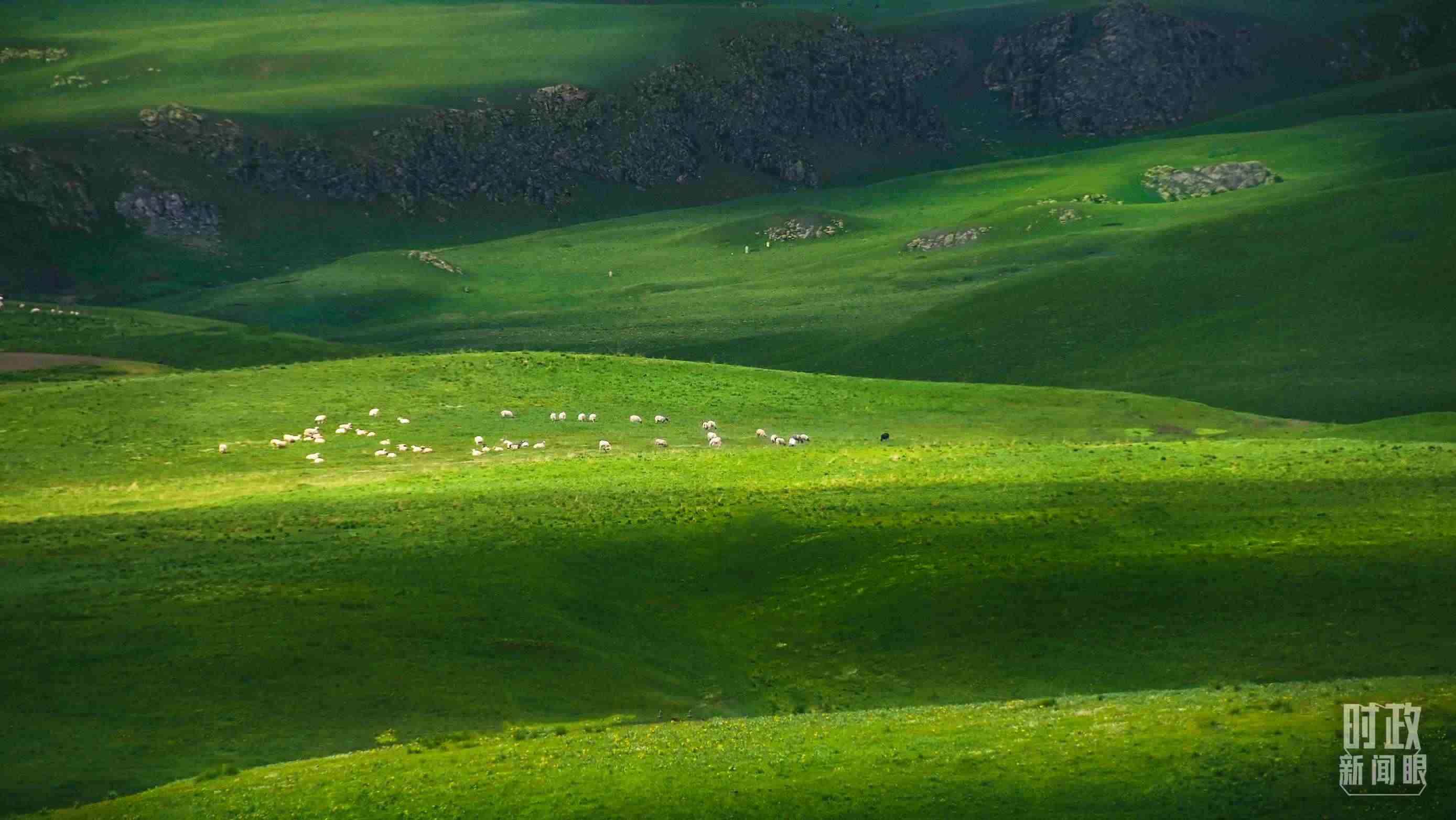 △祁連山草原光影。（圖/視覺中國）