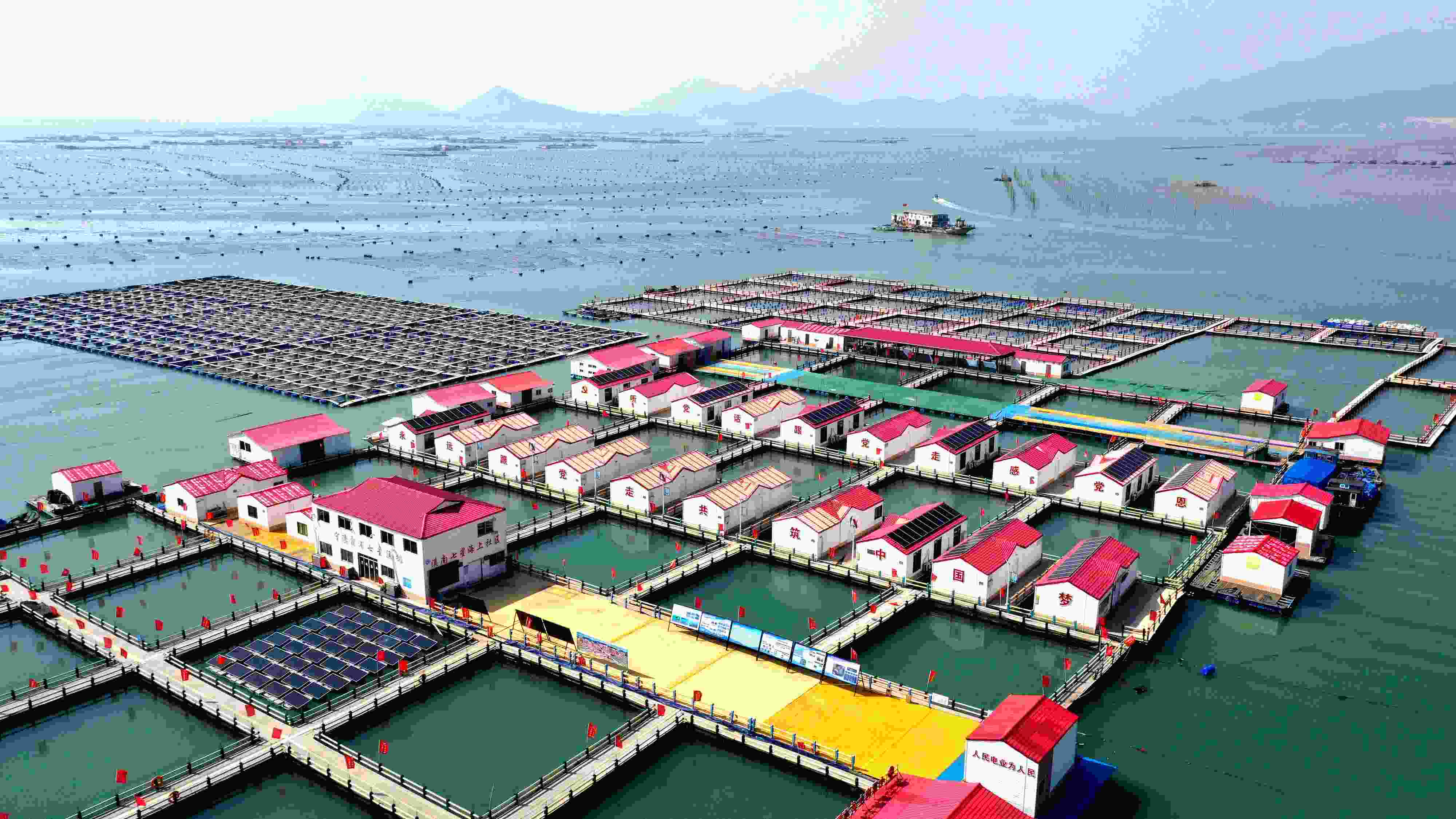 2024年3月20日，福建省寧德市，霞浦縣溪南鎮(zhèn)七星村漁排養(yǎng)殖示范區(qū)，漁民駕駛養(yǎng)殖船進(jìn)行海參養(yǎng)殖作業(yè)。