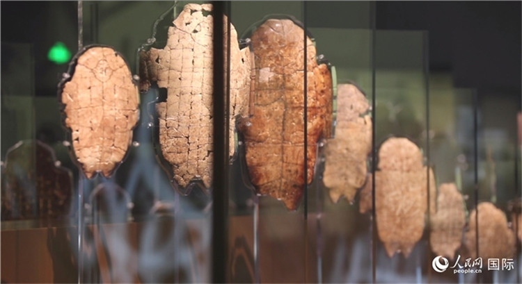 殷墟博物館新館的甲骨展品。人民網(wǎng)記者 劉寧攝