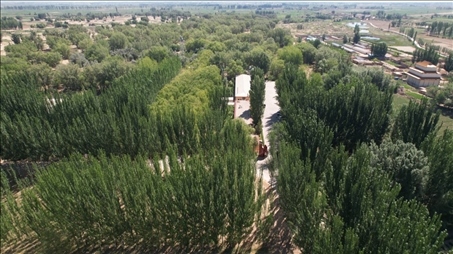 △內(nèi)蒙古巴彥淖爾臨河區(qū)國營新華林場