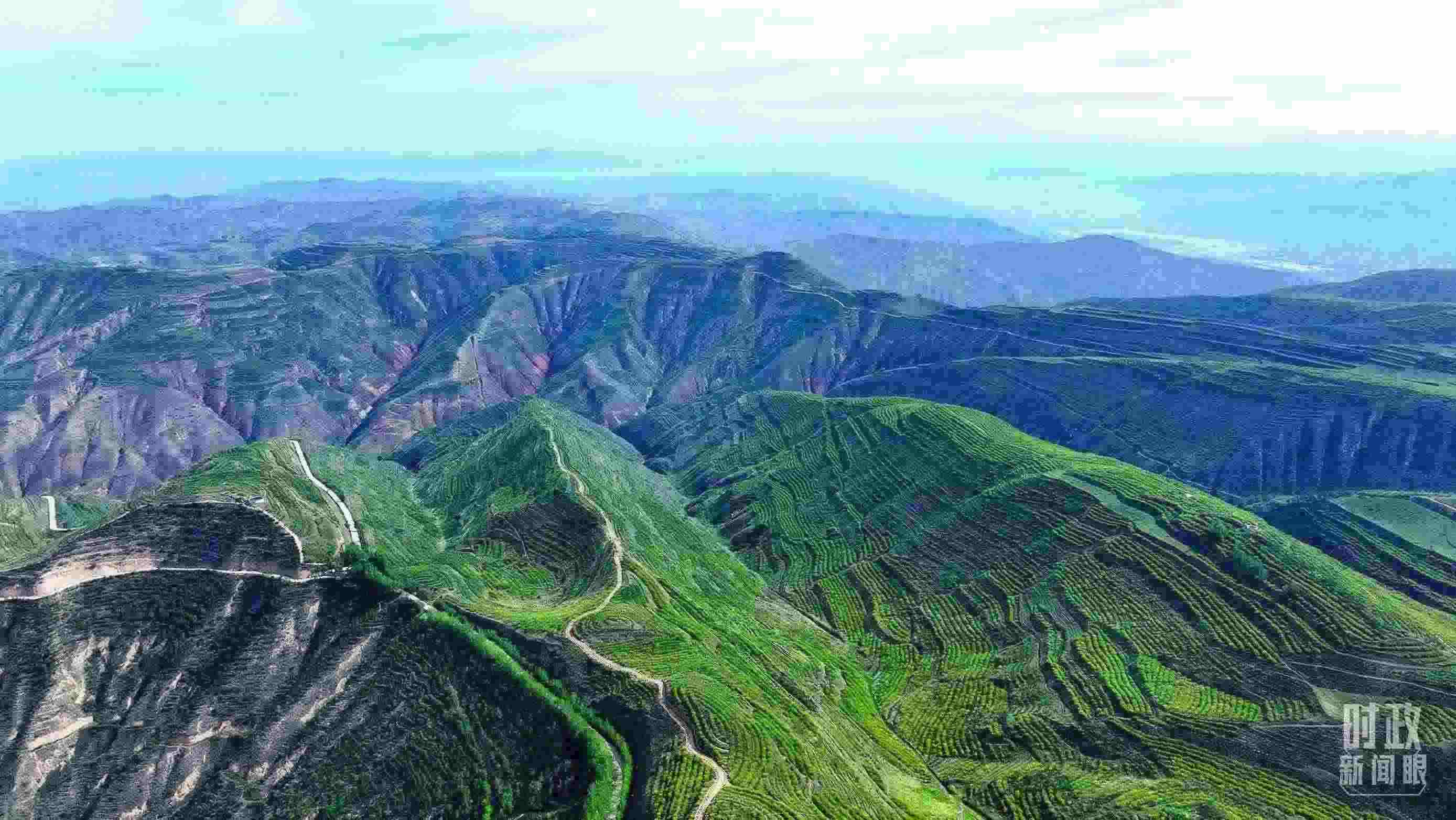 △青海西寧。（總臺(tái)記者柳成拍攝）