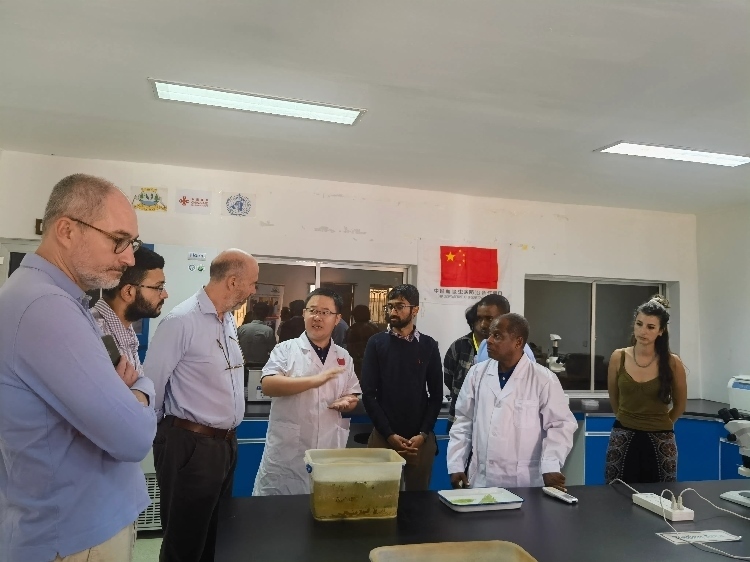 活動(dòng)現(xiàn)場。專家組供圖