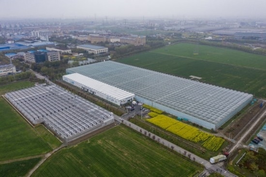 2024年3月28日，空中俯瞰嘉興南湖區(qū)湘家蕩農(nóng)業(yè)數(shù)字化工廠（無人機(jī)照片）。該農(nóng)業(yè)數(shù)字化工廠占地總面積約62畝，包含智慧農(nóng)業(yè)生產(chǎn)、物聯(lián)網(wǎng)智能管理、自動(dòng)分揀包裝、保鮮儲(chǔ)藏物流、高科技示范展示等五大功能區(qū)，可直接或間接培養(yǎng)帶動(dòng)新型職業(yè)技術(shù)農(nóng)民500人以上。新華社記者 徐昱 攝