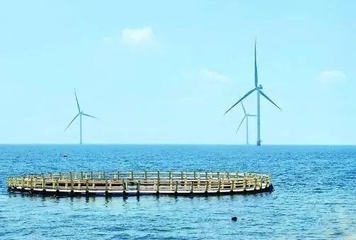 △山東萊州風(fēng)電項(xiàng)目實(shí)現(xiàn)了海上風(fēng)電和海洋牧場(chǎng)融合發(fā)展。