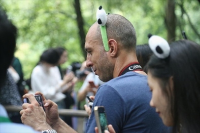 俄羅斯《俄羅斯報》視覺內(nèi)容編輯阿爾圖爾·杰魯諾夫在拍攝熊貓。（李佩藺 攝）