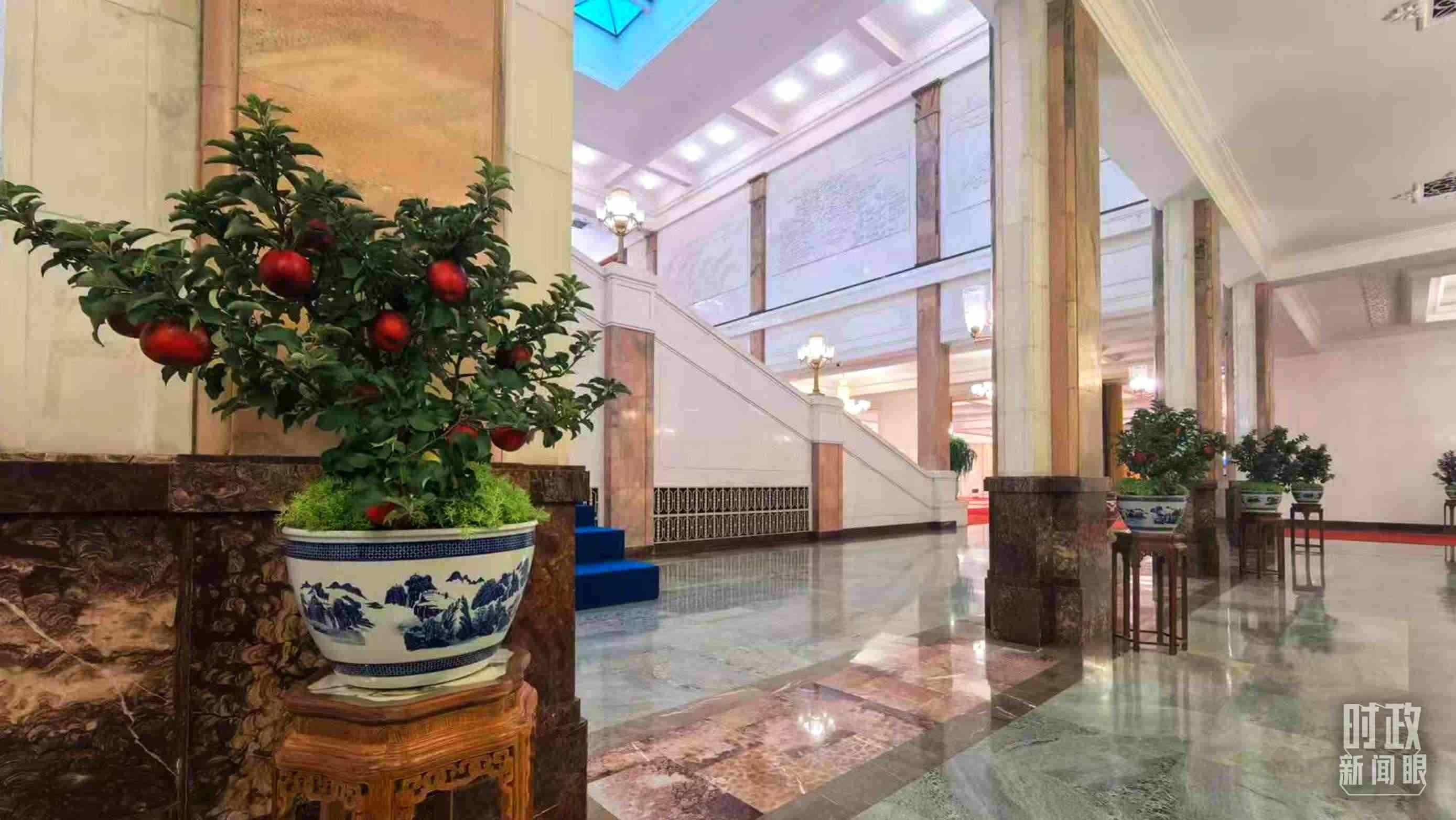  △大會堂內(nèi)的“碩果累累”盆栽。（總臺國廣記者吳倩拍攝）