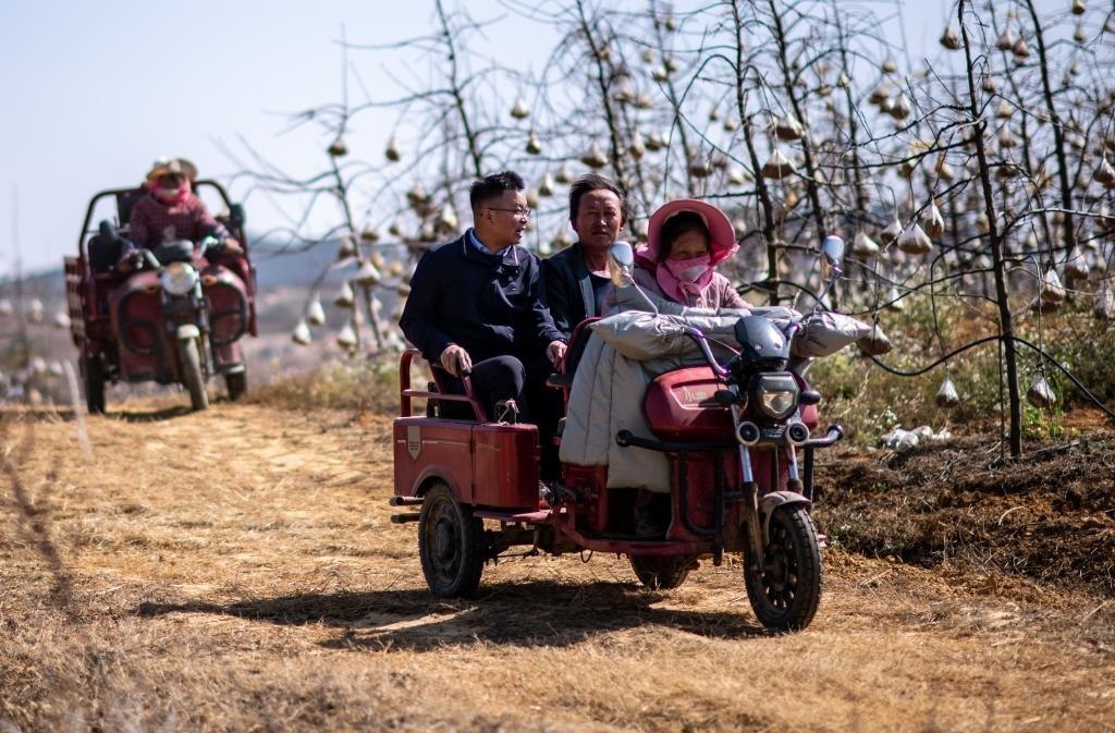 全國人大代表袁海波（右三）在云南省曲靖市馬龍區(qū)一種植基地了解務(wù)工人員就業(yè)需求（2023年2月11日攝）。新華社記者 江文耀 攝