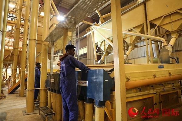 在Bule Hora咖啡加工廠里工作的當(dāng)?shù)毓と藗?。人民網(wǎng)記者 沈小曉攝