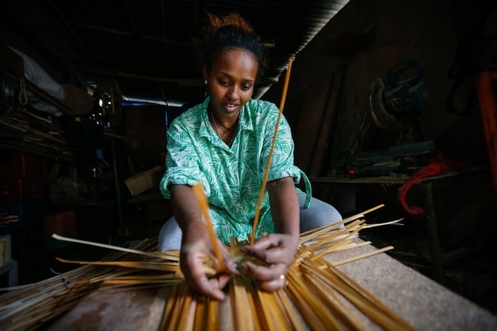 2024年8月10日，菲基爾特·加布雷在埃塞俄比亞首都亞的斯亞貝巴名為“綠色金子”的竹藤工作室里加工竹制產(chǎn)品。新華社發(fā)（邁克爾·特韋爾德 攝）
