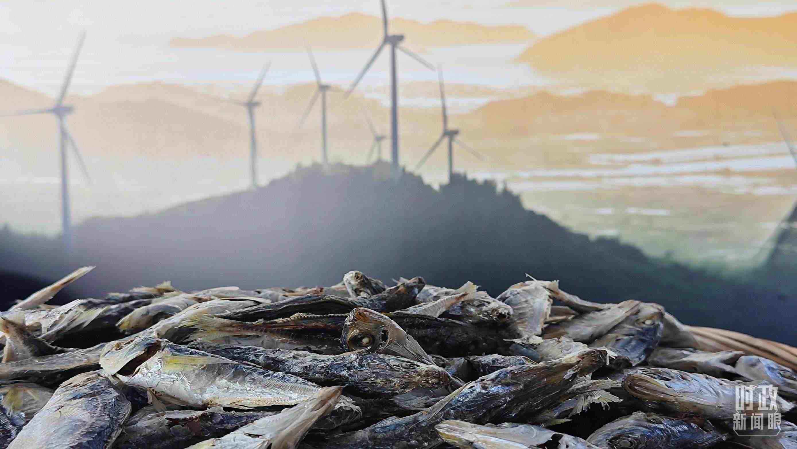 △澳角村的海產(chǎn)品。（總臺央視記者許永松拍攝）