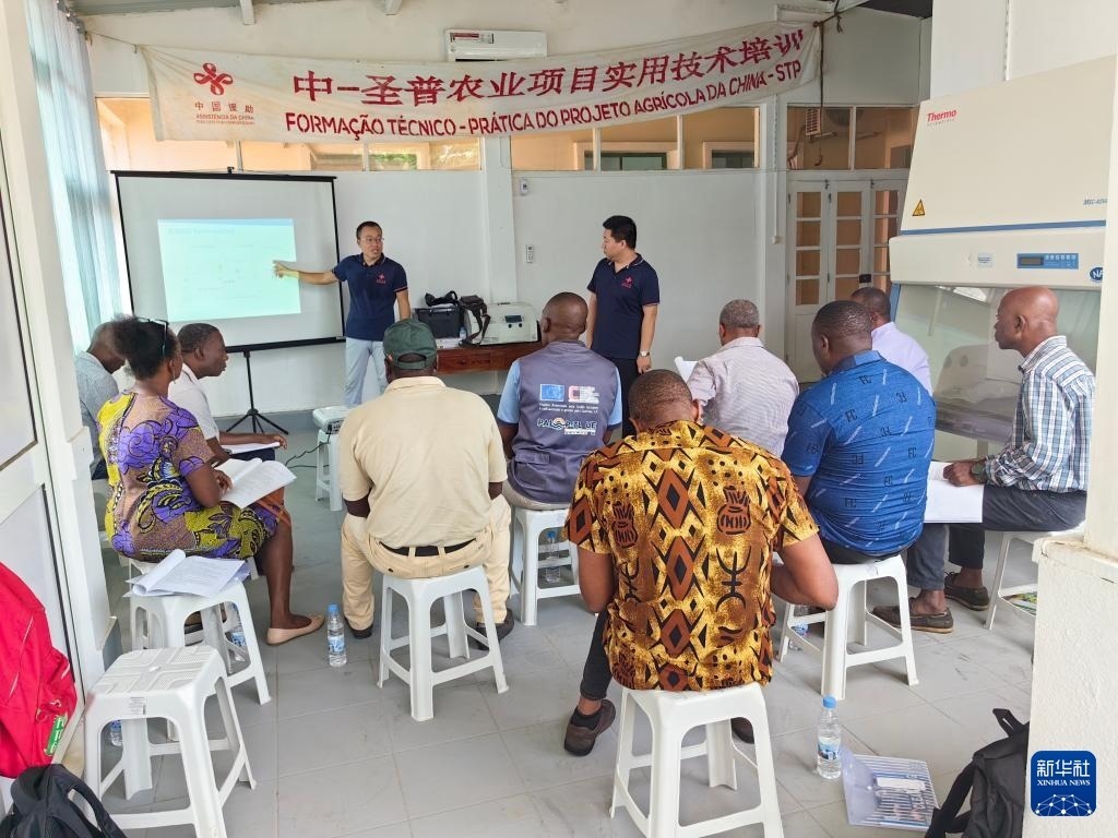 中國援圣普農(nóng)牧業(yè)技術項目組專家段振華（后左）在圣多美和普林西比的國家獸醫(yī)實驗室開展動物疫病監(jiān)測技術培訓（2024年6月21日攝）。新華社發(fā)（中國援圣普農(nóng)技組供圖）