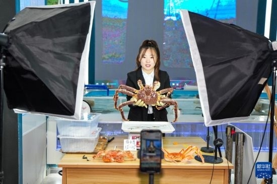 9月20日，在吉林省琿春市的帝王蟹保稅店內(nèi)，工作人員進行網(wǎng)絡(luò)直播售賣帝王蟹。新華社記者 許暢 攝