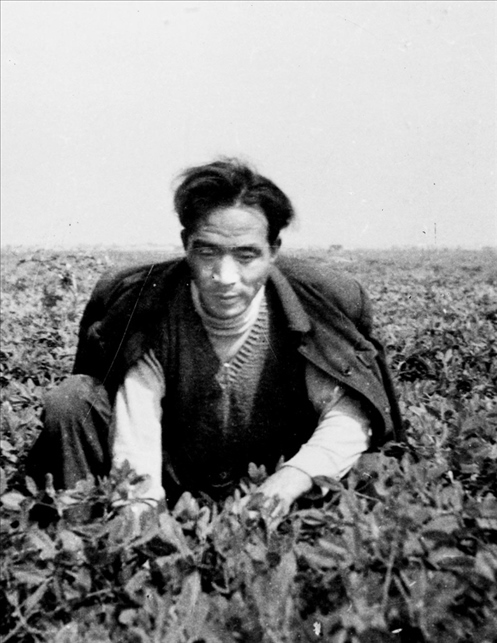 在蘭考期間，焦裕祿在田間勞動的情景。