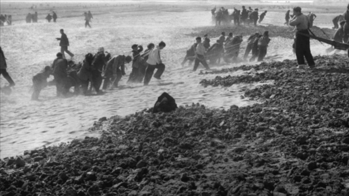 蘭考群眾在拉淤土壓沙。（新華社記者 鄧歷耕 攝）