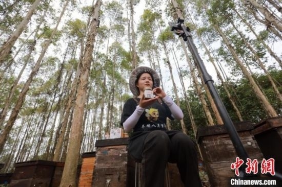 吳素英在網(wǎng)絡(luò)平臺(tái)直播介紹蜜蜂和養(yǎng)蜂情況。湯曉逵 攝