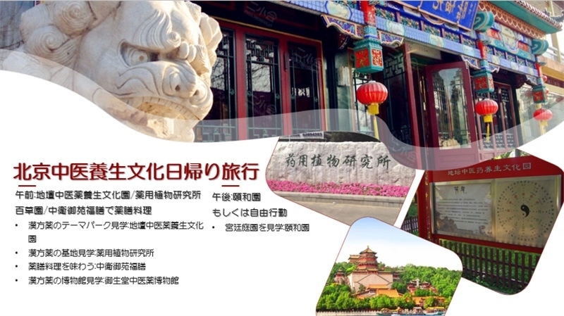 “你好！中國·休閑旅游—中國旅游說明會”宣講材料。中國駐東京旅游辦事處供圖