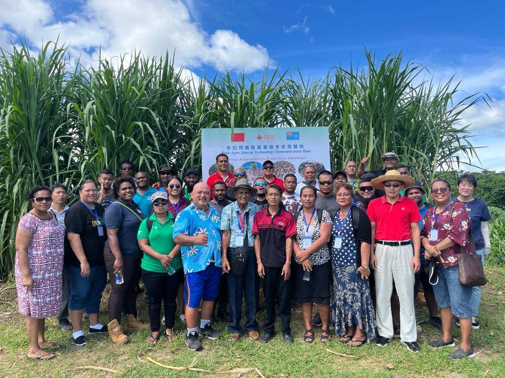 2024年2月28日，來(lái)自巴布亞新幾內(nèi)亞、湯加、庫(kù)克群島、薩摩亞、瑙魯?shù)葒?guó)家的“太平洋島國(guó)菌草技術(shù)培訓(xùn)班”學(xué)員在斐濟(jì)布拉阿格魯菌草技術(shù)示范基地合影。新華社發(fā)（中國(guó)援斐濟(jì)菌草技術(shù)示范中心供圖）