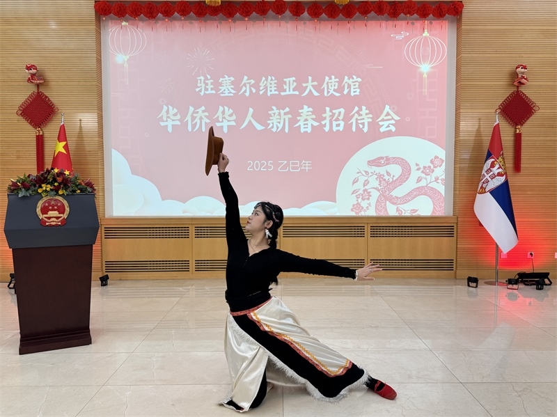 招待會(huì)現(xiàn)場(chǎng)表演。諾維薩德孔子學(xué)院供圖