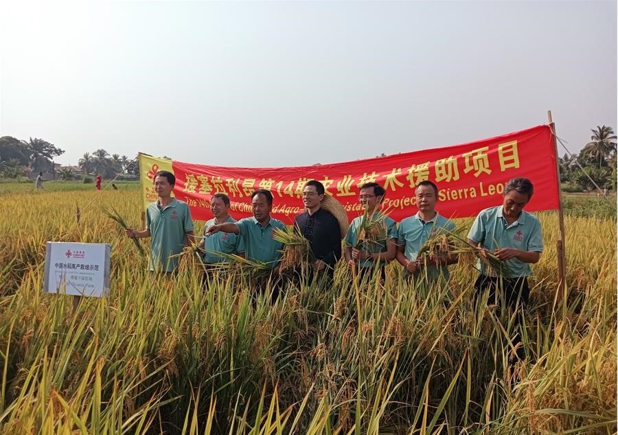 中國(guó)駐塞拉利昂大使王擎和援塞農(nóng)業(yè)專(zhuān)家組合影。中國(guó)援塞農(nóng)業(yè)專(zhuān)家組供圖