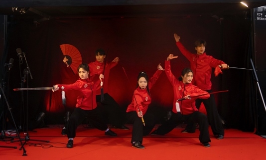 武術(shù)表演。中國駐芬蘭大使館供圖