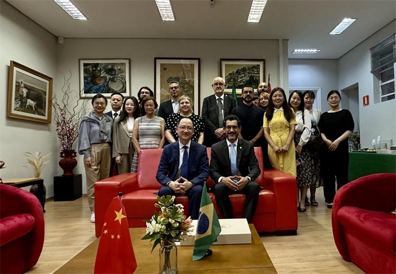 圖為參加座談會(huì)的來賓合影留念。 圣保羅州立大學(xué)孔子學(xué)院供圖