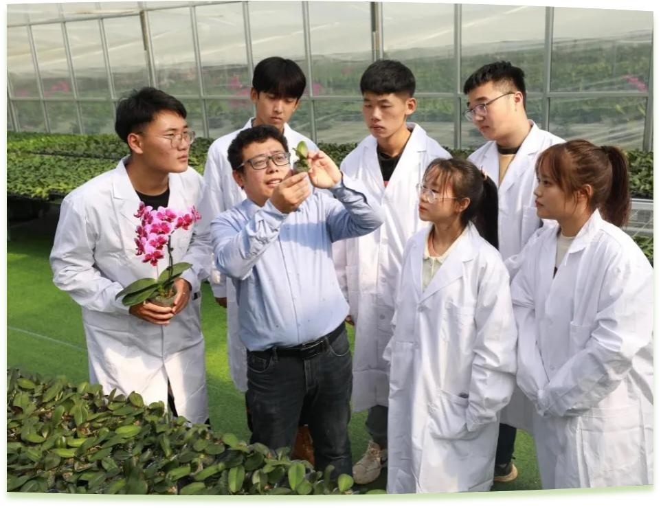 濰坊工程職業(yè)學(xué)院科技創(chuàng)新團(tuán)隊(duì)為花卉行業(yè)從業(yè)者作蝴蝶蘭雜交選育技術(shù)指導(dǎo)。學(xué)校供圖