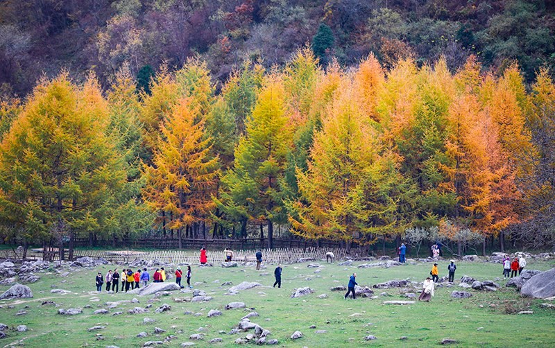 2023年10月27日，深秋時(shí)節(jié)的陜西秦嶺太子嶺五彩斑斕，進(jìn)入最佳觀賞期。