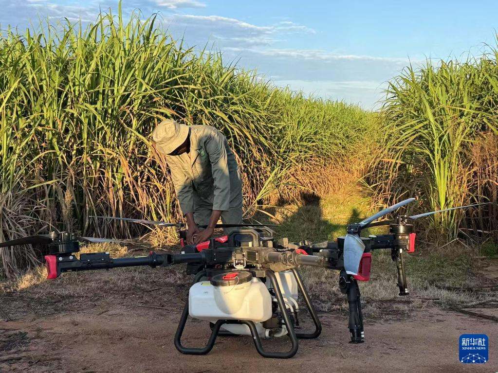 3月25日，在南非夸祖魯-納塔爾省的方廷希爾莊園，工作人員為無人機做起飛作業(yè)前的準(zhǔn)備。新華社記者 白舸 攝