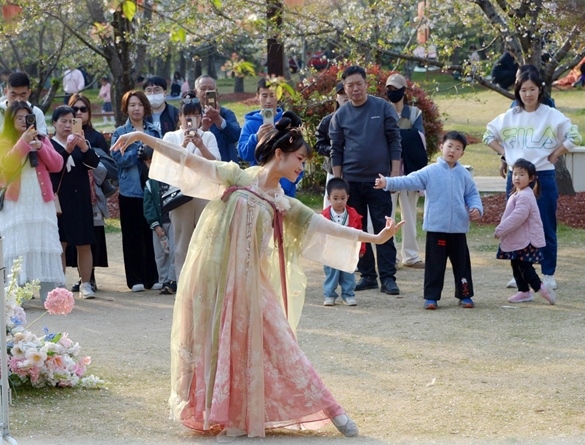 清明假期期間，上海顧村公園櫻花島上，游客在觀賞國(guó)風(fēng)漢服快閃表演。（圖片來(lái)源：視覺(jué)中國(guó)）