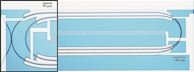 微波光量子傳感器的光學(xué)顯微照片。圖片來(lái)源：美國(guó)哈佛大學(xué)