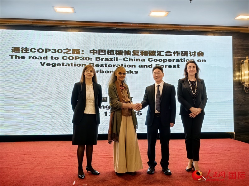 中國國家林業(yè)和草原局副局長李云卿（右二）、巴西環(huán)境和氣候變化部部長瑪麗娜·席爾瓦（左二）、巴西財政部副部長羅熙丹（右一）、巴西駐華大使館公參樂美（左一）出席“通往COP30之路：中巴植樹造林和碳匯合作研討活動”。人民網(wǎng)記者 符園園攝