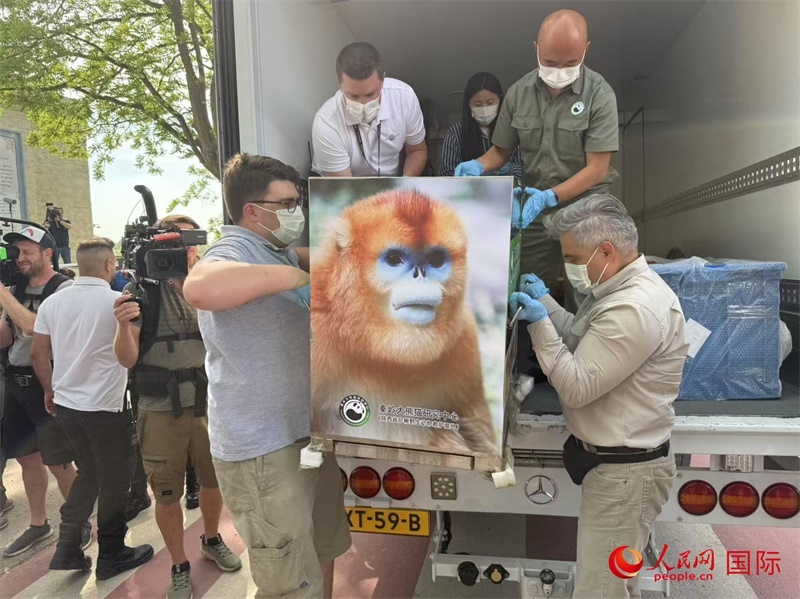 圖為活動現(xiàn)場。人民網(wǎng)記者 牛瑞飛攝