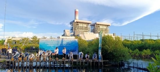 5月18日，中印尼嘉賓在爪哇7號燃煤電站舉行紅樹林補植儀式。記者 曹凱 攝